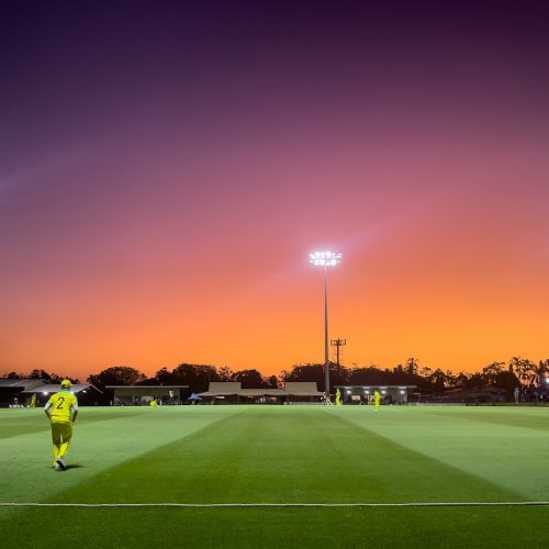 Cricket 365 Sunsetlr